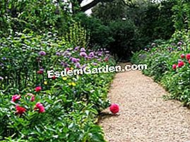 Introducción al jardín inglés - (jardín) Hidcote Garden, Cotswolds, Gloucestershire