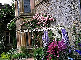 Introducción al jardín inglés - (flores) Haddon Hall en Derbyshire