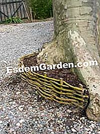 Buat sempadan rotan - (yang) Buat sempadan rotan: buat