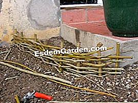 Buat sempadan rotan - (buat) Buat sempadan rotan: yang
