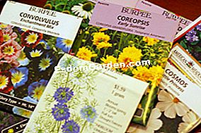 花の播種：年初のカレンダー