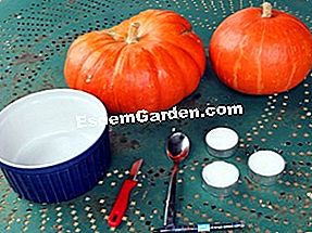 Sediakan labu Halloween - (dengan) Bahan bengkel labu Halloween