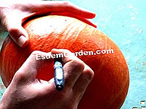 Sediakan labu Halloween - (labu) Lukiskan kontur muka