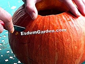 Sediakan labu Halloween - (labu) Potong mata, hidung dan mulut