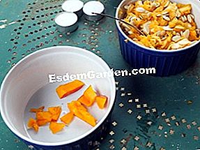 Sediakan labu Halloween - (labu) Mengetepikan luka