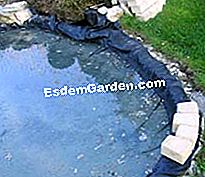 Mengubah kolam taman - (mengubah) meletakkan tarpaulin di dasar kolam