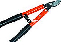 Strumenti per il taglio - (taglio) tagliare i rami
