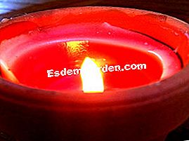 Obor dan lilin di taman - (taman) Lilin Citronella