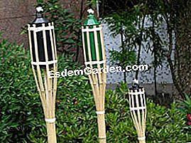 Obor dan lilin di taman - (yang) Obor buluh