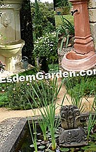 Trend hiasan di taman - (taman) Elemen hiasan di taman