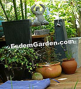 Trend hiasan di taman - (taman) bekas; periuk
