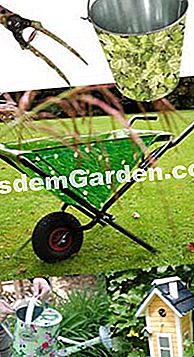 Trend hiasan di taman - (trend) Aksesori perkebunan
