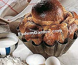 A brioche parisienne: resipi langkah demi langkah - (demi) Beberapa petua