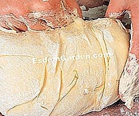A brioche parisienne: resipi langkah demi langkah - (dengan) menguli