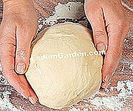 A brioche parisienne: resipi langkah demi langkah - (dengan) Biarkan kenaikan doh