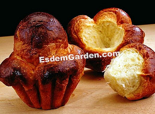 A brioche parisienne: resipi langkah demi langkah - (demi) Resipi dari brioche kedai roti tradisional Paris