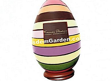 Coklat Paskah 2015 - (susu) Jualan dari 4 April - 23 € - François Pralus