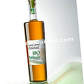 Makanan Krismas: foie gras, kaviar, coklat, dsb. - (krismas) Leopold Gourmel, cognac organik (70 cl), 35 € lebih kurang.