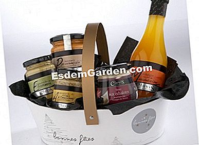 Makanan Krismas: foie gras, kaviar, coklat, dsb. - (makanan) Clovis, Happy Holidays, lebih kurang 15 €.