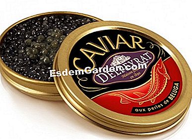 Makanan Krismas: foie gras, kaviar, coklat, dsb. - (gras) Delpeyrat (dijual di Cora), kaviar (25 g), 40 € lebih kurang.