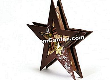 Makanan Krismas: foie gras, kaviar, coklat, dsb. - (makanan) Rumah Coklat, Étoile (135 g), 25 € lebih kurang.