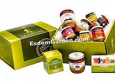 Makanan Krismas: foie gras, kaviar, coklat, dsb. - (foie) Jean Martin, kotak Hadiah Provencal, kira-kira 38 €.