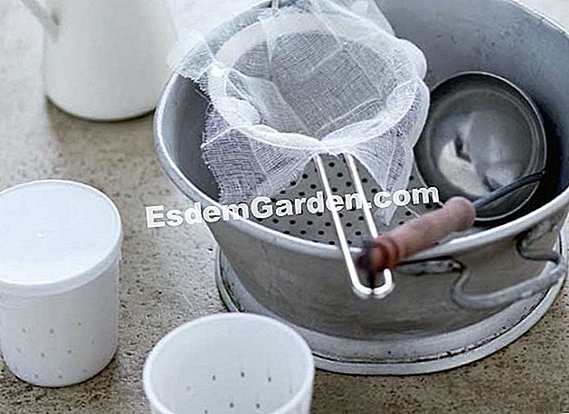Le attrezzature e gli utensili per fare il formaggio fatto in casa - (casa) Attrezzature per fare il tuo formaggio