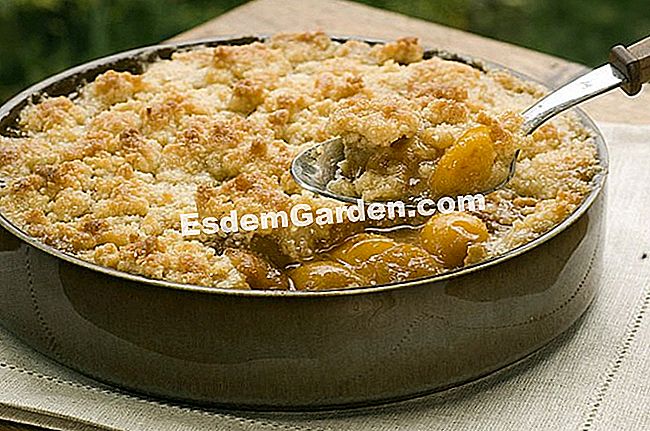 Ideas para recetas de crujientes saladas y dulces - (dulces) El crumble: