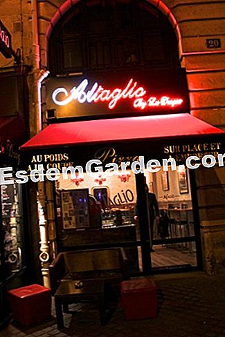 Idea untuk resipi dan persatuan untuk pizza - (resipi) Kembali ke Al Taglio, rue du dragon, di Paris