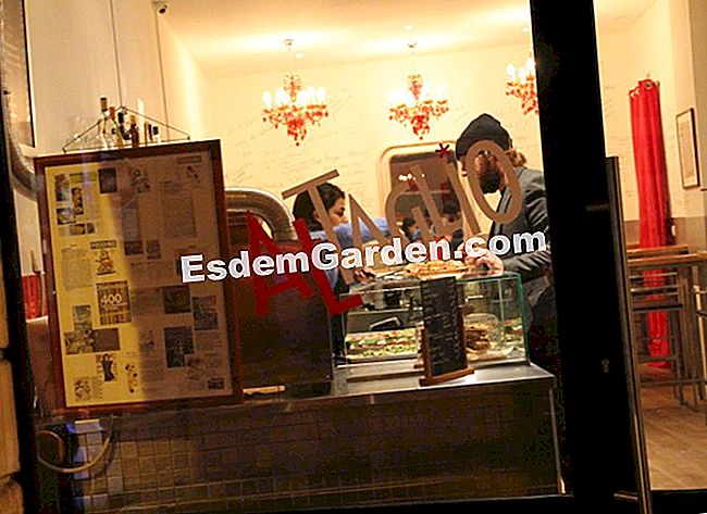 Idea untuk resipi dan persatuan untuk pizza - (dalam) Al Taglio mengalu-alukan anda ke alamat Paris yang baru rue du Dragon di daerah St Germain des Prés