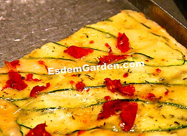 Idea untuk resipi dan persatuan untuk pizza - (resipi) Pizza dengan zucchini, fontina, tomato kering