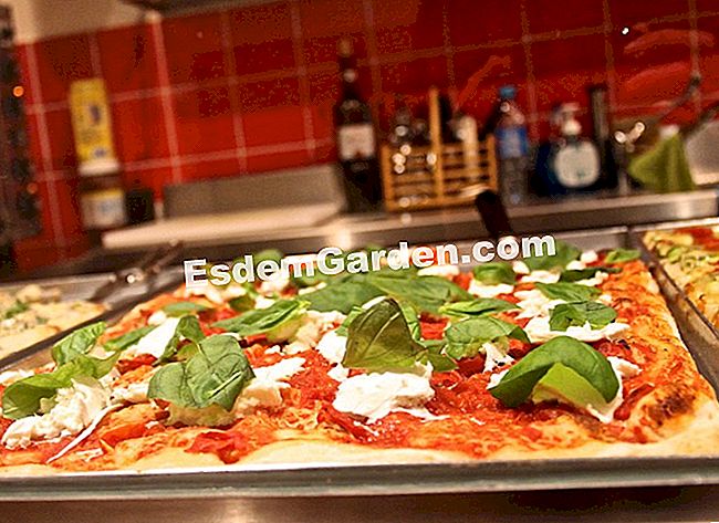 Idea untuk resipi dan persatuan untuk pizza - (idea) Pizza klasik tetapi begitu baik dengan tomato, mozzarella di bufala dan kemangi segar