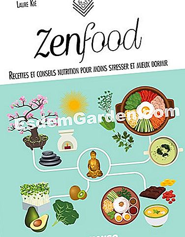 Portada del libro Zenfood de Mango Editions