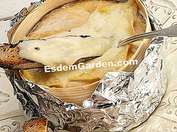 Vacherin Mont-d'or dibakar - (ketuhar) Bakar Vacherin