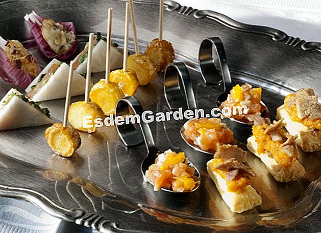 Téli zöldségek az aperitif számára - főzés Szórakoztatja a kertész száját