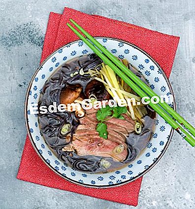 Cocina mundial: nuestras recetas asiáticas - (cocina) Sopa de fideos