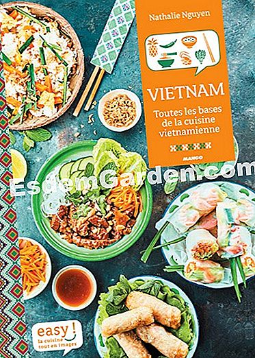 Cocina mundial: nuestras recetas asiáticas - (cocina) Portada del libro Easy Vietnam de Mango Editions