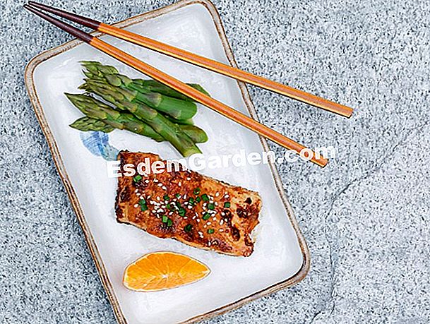 Cocina mundial: nuestras recetas asiáticas - (nuestras) salmón teryaki