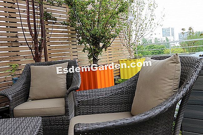 Plantați copacii pentru a avea o pădure pe terasa lor - (avea) mobilier de exterior