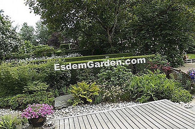 Una terrazza fatta di strisce di legno - (delle) Terrazza in legno - F. Marre - EsdemGarden - Il giardino del Botrain