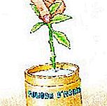Potong weigelia itu - (weigelia) Keletihan dengan serbuk hormon kulit