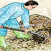Plantar el aucuba - (suelo) Preparar la tierra