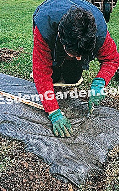 Piantare una siepe di ciondoli - (ciondoli) Praticare il pacciame feltro