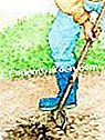 シンコフォイルを植える - (シンコフォイルを植える) 植え穴を掘る