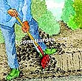 はちみつを植える - (はちみつを植える) トレンチを作る