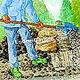 はちみつを植える - (はちみつを植える) 散布肥料とバックフィル