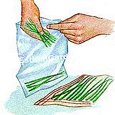 Tuai dan simpan anak buahnya - (simpan) Simpan daun chive