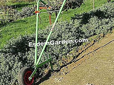 Ne vásároljon többé zöldséget - vagy Piaci kapa - F. Marre -esdemgarden.com
