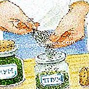 Vendemmia e timo in negozio - (olio) Mantieni nel barattolo