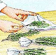 Vendemmia e timo in negozio - (raccolto) Conservare nel congelatore